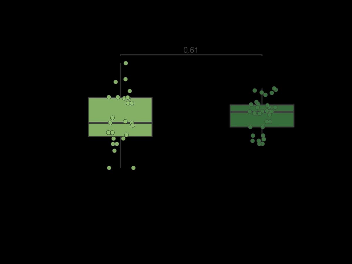 Box plot of the distance from each gland to its nearest neighbour: about 320 µm in immature pitchers and 330 µm in mature ones, p = 0.61.
