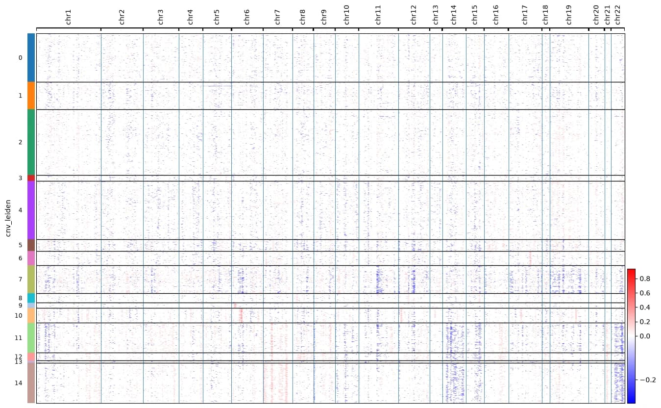 Heatmap of inferred copy number across chromosomes 1 to 22 for 15 CNV clusters. Tumor clusters show a gain band on chromosome 7.
