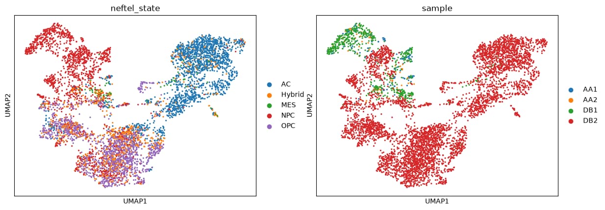Two UMAP plots of the malignant cells, one colored by Neftel state and one by sample.